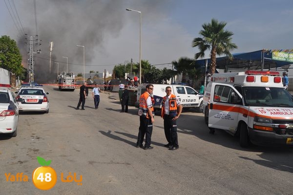 fireludkartoonmasna34 (43).JPG